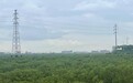 一只“小水鸭”游入司法“生态账本”