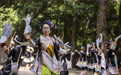 文化中国行·传统村落影像志丨漂洋过海 他们钻进深山苗寨(3)#