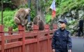 图片故事丨武夷山国家公园的守护者:巡山护林 种茶兴业(4)