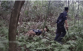 七旬老人患阿尔茨海默症沿村庄老路走失,民警携警犬密林搜救寻回
