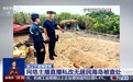 视频丨“荒岛改造”自由惬意?已触碰法律红线!案例解读→