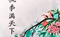 他们为什么学中文?(环球热点)