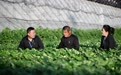 河北承德:建设大数据中心 提升监督执纪有效性(5)#