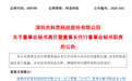 董秘证代双空,董事长顶岗|董秘沙龙