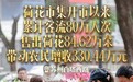 数读中国开局新活力|带动增收超330万元,“小而美”如何“甜”了城市“富”了乡村?