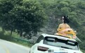 女子乘车探出天窗拍古风视频,还配文“是妲己啊”,交警回应