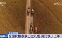 全国秋粮收获已过八成、进展顺利 秋冬种有序推进筑牢粮食安全“压舱石”