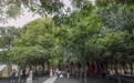 浙江湖州:推动青年入乡 助力乡村农文旅融合发展(1)