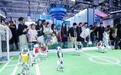 湖北人形机器人天团“北上”参展 记者在武汉找到了它的“学校”
