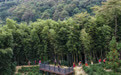 美丽乡村开启金秋文旅季