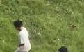 江苏徐州3名男孩虐猫致死亡,警方:已找家长批评教育