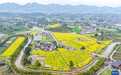 重庆璧山:花开引客来 融合促振兴