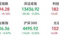 “麻辣串串”火了,龙头股成交额A股第二