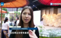 国庆游“浙”里!画伞、织布、品茗,外国友人乐享中华文化