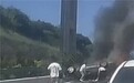 飞鹤员工见义勇为,危机时刻彰显责任担当