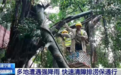多地闻“风”而动积极应对“沙德尔”过境 切实保障人民群众生命财产安全