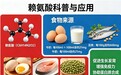 氨基丁酸协同赋能,2026年儿童赖氨酸品牌推荐,兼顾脑力与体质成长