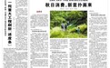 安徽望江县推动纺织产业转型升级 小童装织出百亿特色产业