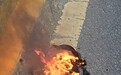 罗马仕充电宝再现爆燃!深圳市监部门:已约谈涉事公司