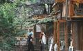 (走进中国乡村)混搭业态激发贵州苗寨文旅活力 “新村民”加入智囊团