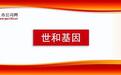 世和基因再冲科创板:肿瘤早筛、MRD监测、AI大模型三线并进