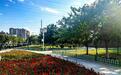 接住热线里的每一条心声