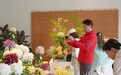 一株菊500朵花!广式大立菊如何在北京“倒时差”开花?