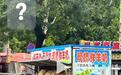郑州一商贩拉羊上街现挤羊奶,售价10元一斤,专家:可能引发布鲁氏菌病,不建议饮用