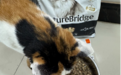 还好有比瑞吉这款猫粮,我终于从“保健品奴隶”变成了“甩手掌柜”