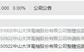 大洋电机宣布终止H股发行 招股书已失效数月,公司回应:短期内无再融资需求