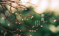 近日气温起伏变大,部分地区雨夹雪