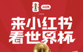 拿下世界杯版权50天,小红书的一点人生经验