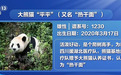 今天凌晨,大熊猫“平平”“福双”启程赴美