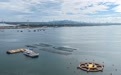 近海生态系统野外受控试验平台在山东荣成运行#