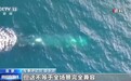 英国首次用无人潜航器试射重型鱼雷,距离实战部署有多远?