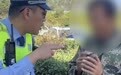 有人高速开出时速30km,有人遇“龟速车”与大货车长时间并排行驶!多地交警喊话“龟速车”