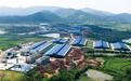 湖北好牛牧业一年销售活牛活羊超25万头