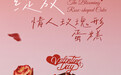 从赠玫瑰到品玫瑰:情人节消费呈现多元表达趋势
