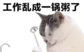 AI批量轰炸苹果bug赏金计划,审核团队已下线