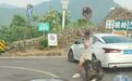 皖南川藏线六道湾猴子攻击游客?当地回应