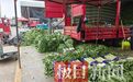 染色风波引发榆中莴笋产业阵痛:收购价掉了大半,已有菜烂在地里