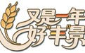 央媒聚焦包头|镜头定格金色田野,这是属于包头的丰收答卷
