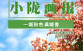 两当:一城秋色满城香