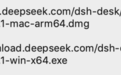 突发:DeepSeek Harness出桌面版了