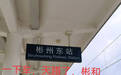 母子三人从四川乘动车去湖南郴州,阴差阳错到了陕西彬州