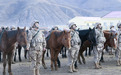 我在战位为祖国庆生丨骑兵巡高原 热血护万家——玉树独立骑兵连巡逻见闻