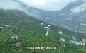 活力中国调研行丨无人机上阵 秭归橙子“飞”出山