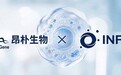 昂朴生物×无界进化战略合作:构建遗传病药物研发全新范式