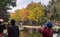 太阳岛藏绝美“都市五花山”