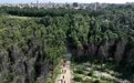 万里边疆行|从“黄沙堵家门”到“绿浪锁风口”:小岞林场跨越六十载的巾帼坚守(2)
